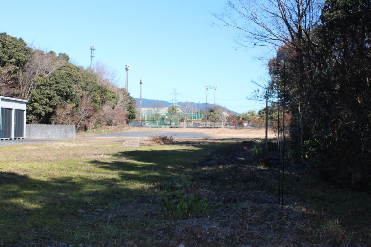 フジバカマ刈取り(南東)