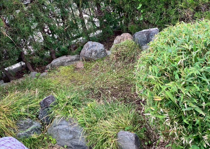 活動後の様子(2)